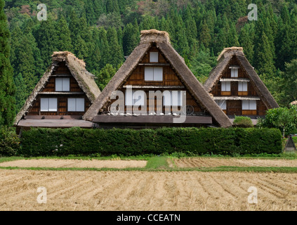 Tradizionale tetto in paglia edificio di Shirakawa go Sito Patrimonio Mondiale dell'Unesco in Giappone Foto Stock