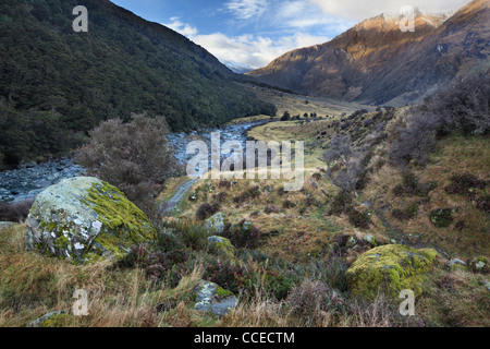 Lungo il fiume Matukituki trail in Mt Aspiring National Park Foto Stock