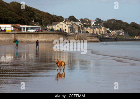 Megan permanente sulla spiaggia a Filey Foto Stock