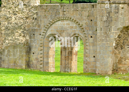 Rovine dell'Abbazia di Savigny, XII (Savigny le Vieux, Normandia, Francia). Foto Stock