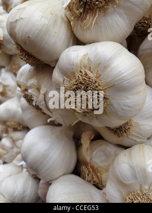 Aglio in vendita al mercato di Vaison-la-Romaine, Vaucluse Provence, Francia. Foto Stock