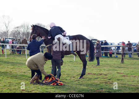 Un cavallo purosangue di Equus ferus caballus nell'anello di raccolta presso l Heythrop caccia da punto a punto Foto Stock