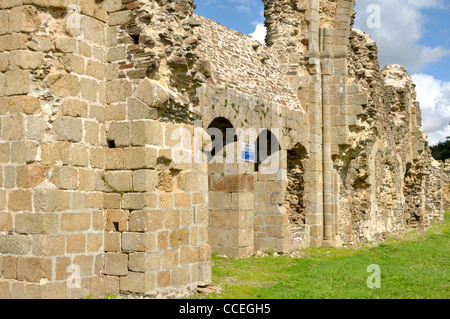 Rovine dell'Abbazia di Savigny, XII (Savigny le Vieux, Normandia, Francia). Foto Stock