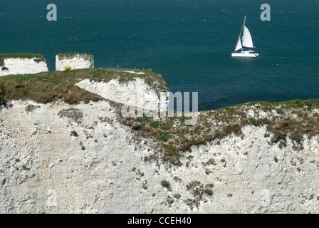 Old Harry Rocks, Dorset, England, Regno Unito Foto Stock