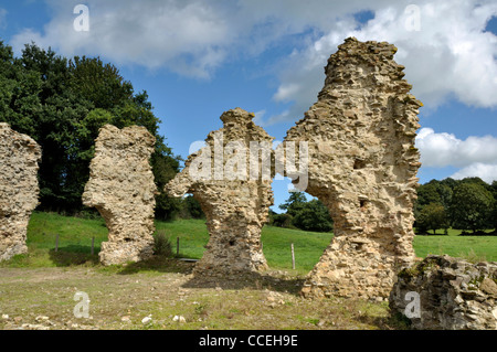 Rovine dell'Abbazia di Savigny, XII (Savigny le Vieux, Normandia, Francia). Foto Stock