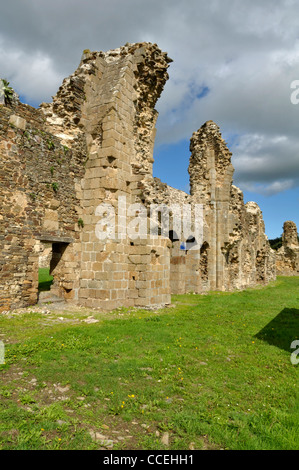 Rovine dell'Abbazia di Savigny, XII (Savigny le Vieux, Normandia, Francia). Foto Stock