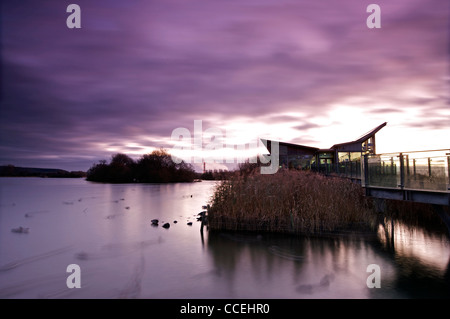 Il centro di natura Attenborough riserva naturale, Nottingham, Inghilterra, Regno Unito Foto Stock