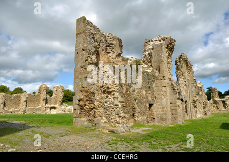 Rovine dell'Abbazia di Savigny, XII (Savigny le Vieux, Normandia, Francia). Foto Stock