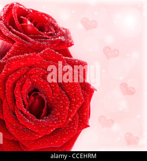 Bellissime rose rosse confine con cuori, astratto carta vacanze sfondo, freschi fiori bagnati, il giorno di San Valentino simbolo dell amore Foto Stock