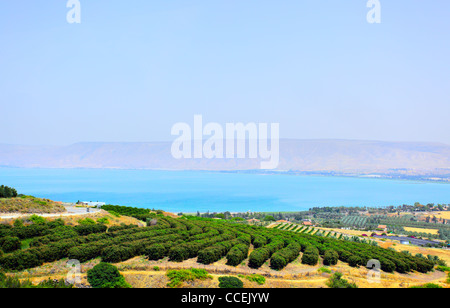 Mare di Galilea (lago Kinneret) e Alture del Golan in background. Israele Foto Stock