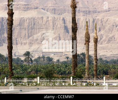 Vista in lontananza il tempio mortuario di Hatshepsut in Egitto Foto Stock