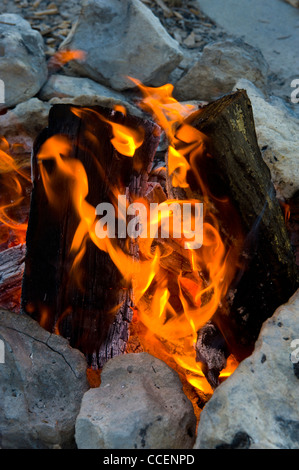 Campfire la combustione di legna da ardere, Churchhaven, West Coast National Park, Western Cape, Sud Africa Foto Stock