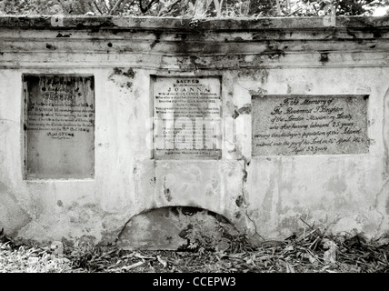 Fotografia di viaggio - British storia coloniale il cimitero protestante di George Town in Penang Island in Malesia nel sud-est asiatico in Estremo Oriente. Foto Stock