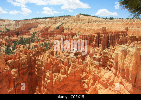 Paesaggio unico foto di arenaria rossa formazioni Foto Stock