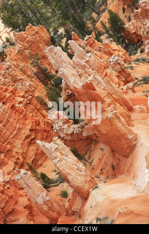 Paesaggio unico foto di arenaria rossa formazioni Foto Stock