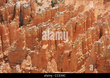 Paesaggio unico foto di arenaria rossa formazioni Foto Stock