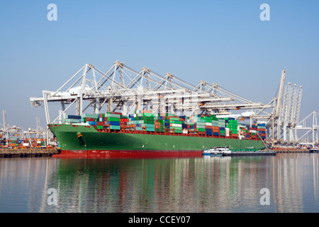 Nave container essendo caricati nel porto di Rotterdam, Paesi Bassi Foto Stock