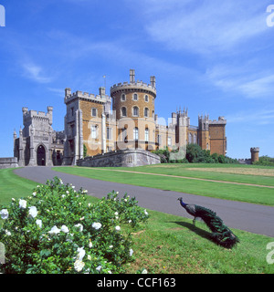 Peacock & da prato alla storica Belvoir Castle maestosa casa & heritage mansion impostato in inglese campagna vicino Grantham LEICESTERSHIRE REGNO UNITO Inghilterra Foto Stock