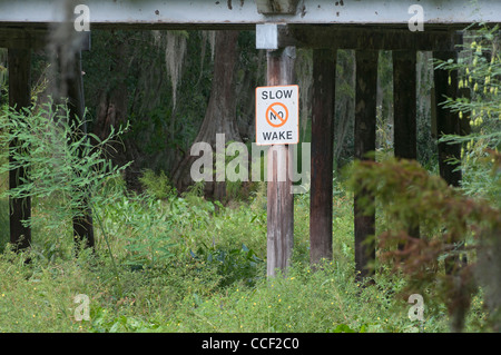 La siccità ha provocato Cross Creek in North Central Florida per asciugare ed è inutilizzabile a diportisti. Foto Stock