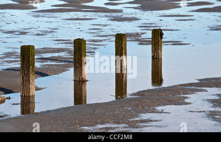 I resti di un antico molo in legno esposte a bassa marea Foto Stock