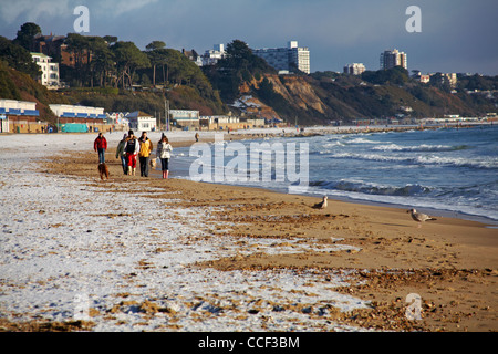 Camminando lungo la spiaggia a Bournemouth con cani dopo una caduta di neve su un moody giornata invernale nel mese di dicembre Foto Stock