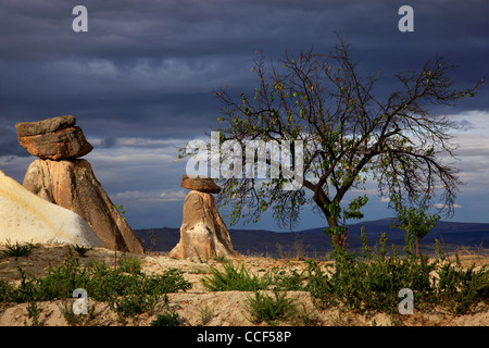 Tipico paesaggio della Cappadocia, vicino a Urgup, sulla strada di Goreme. Nevsehir, Anatolia, Turchia Foto Stock