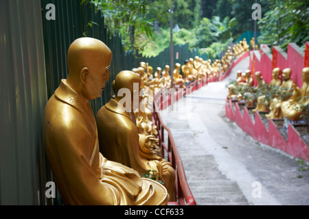 Varie statue di Buddha linea il ripido sentiero fino al monastero di diecimila buddha sha tin nuovi territori di Hong kong Foto Stock