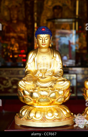 Golden piccola statua di Buddha nel monastero di diecimila buddha sha tin nuovi territori di Hong kong RAS di Hong kong cina asia Foto Stock