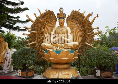 1000 armati buddha avalokitesvara il Monastero dei Diecimila Buddha sha tin nuovi territori di Hong kong RAS di Hong kong cina asia Foto Stock