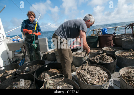 Merluzzo nero (Sablefish) pesca, Sitka, Alaska Foto Stock