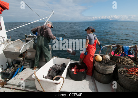 Merluzzo nero (Sablefish) pesca, Sitka, Alaska Foto Stock