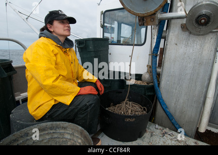 Merluzzo nero (Sablefish) pesca, Sitka, Alaska Foto Stock