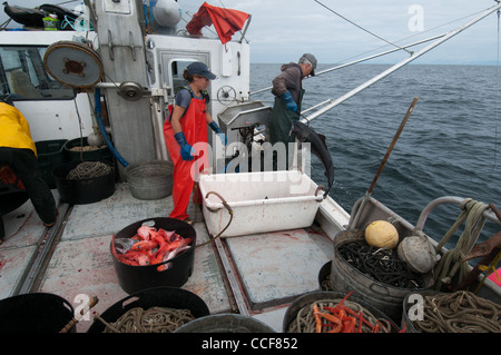 Merluzzo nero (Sablefish) pesca, Sitka, Alaska Foto Stock