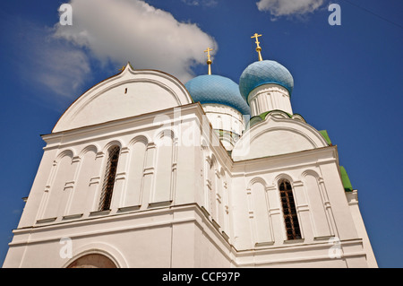 RUSSIA, Uglich, la Chiesa Russa Ortodossa di San Demetrio nel campo Foto Stock