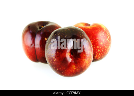 Tre fresche e mature prugne dolce su sfondo bianco Foto Stock