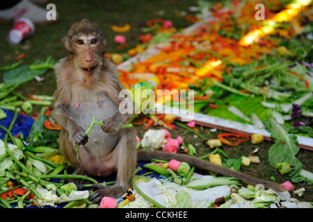 Nov. 28, 2010 - Lopburi, Thailandia - Una scimmia di verdura mangia durante l annuale 'Monkey buffet festival' presso il Phra Prang Sam Yod (tre creste Phra Prang) in Lopburi provincia. Il festival si tiene ogni anno l'ultima domenica di novembre per promuovere il turismo. (Credito Immagine: © Natthawat Wongrat/ZUMA Foto Stock