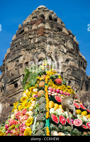 Nov. 28, 2010 - Lopburi, Thailandia - scimmie piace mangiare dalla piramide fatta di frutta durante l annuale 'Monkey buffet festival' presso il Phra Prang Sam Yod (tre creste Phra Prang) in Lopburi provincia. Il festival si tiene ogni anno l'ultima domenica di novembre per promuovere il turismo. (Credito immagine: Foto Stock