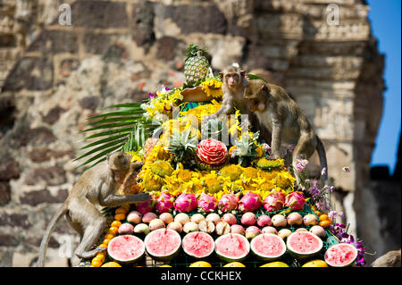 Nov. 28, 2010 - Lopburi, Thailandia - scimmie piace mangiare dalla piramide fatta di frutta durante l annuale 'Monkey buffet festival' presso il Phra Prang Sam Yod (tre creste Phra Prang) in Lopburi provincia. Il festival si tiene ogni anno l'ultima domenica di novembre per promuovere il turismo. (Credito immagine: Foto Stock