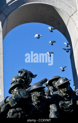 Nov. 11, 2010 - Ottawa, Ontario, Canada - Nov 11 2010: uccelli volò intorno al memoriale di guerra durante un giorno del ricordo nel centro cittadino di Ottawa, Ontario, Canada. (Credito Immagine: © Leon Svizz/Southcreek globale/ZUMApress.com) Foto Stock