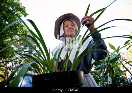 Nov. 12, 2010 - Claremont, California, Stati Uniti d'America - Carol Billings Harris della 62a Pellegrino annuale luogo Festival, che è messo su dagli abitanti del luogo del pellegrino, un cristiano di previdenza professionale comunità. Con un 'no mezzi finanziari test' per residence ammissibilità, pellegrina luogo ospita oltre 300 Foto Stock