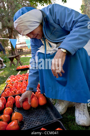 Nov. 12, 2010 - Claremont, California, Stati Uniti d'America - Helen Brownlee ordina cachi della 62a Pellegrino annuale luogo Festival, che è messo su dagli abitanti del luogo del pellegrino, un cristiano di previdenza professionale comunità. Con un 'no mezzi finanziari test' per residence ammissibilità, Pellegrino case di luogo Foto Stock