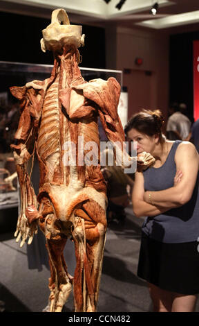 Agosto 10, 2004; Los Angeles, CA, Stati Uniti d'America; i visitatori visualizzare il corpo mondi presentano visualizzato in California Science Center, la più grande mostra itinerante mai coprendo 20,000 piedi quadrati. Fino a poco tempo fa il privilegio di visualizzazione di cadaveri e l umana bodys interno è stato limitato agli studenti di medicina Foto Stock