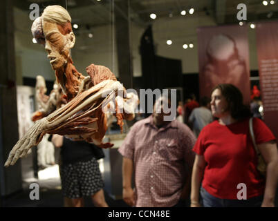 Agosto 10, 2004; Los Angeles, CA, Stati Uniti d'America; i visitatori visualizzare il corpo mondi presentano visualizzato in California Science Center, la più grande mostra itinerante mai coprendo 20,000 piedi quadrati. Fino a poco tempo fa il privilegio di visualizzazione di cadaveri e l umana bodys interno è stato limitato agli studenti di medicina Foto Stock