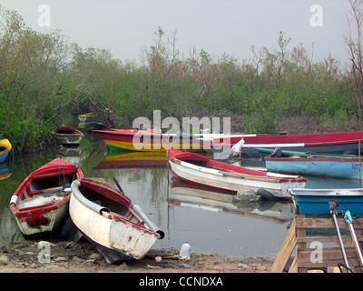 Sep 24, 2004; Portland Cottage, Giamaica; la maggior parte delle barche da pesca, spiaggiata in una mangrovia-circondata cove prima dell'uragano sono stati danneggiati e non ci sono soldi per le riparazioni. Foto Stock