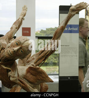 Nov 22, 2004; Los Angeles, CA, Stati Uniti d'America; le ultime plastination anatomica aggiunto per la mostra "mondi corpo Exhibition" al California Science Center lunedì 22 2004. Questa nuova generazione di plastinates sarà presentato in anteprima a un pubblico costituito da corpo mondi primo corpo americano donatori e M Foto Stock