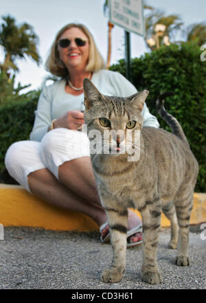 050108 ha incontrato i gatti--0052452un-- foto personale da Allen Eyestone/Palm Beach post...Palm Beach, FL...Pam Bove con un Feral cat sul sentiero principale in Palm Beach. Questo gatto è stato curato per come si può dire per la tagliata orecchio. Questo ritzy città ha un valore stimato di 1.000 senzatetto gatti selvatici e circa 50 di loro lur Foto Stock