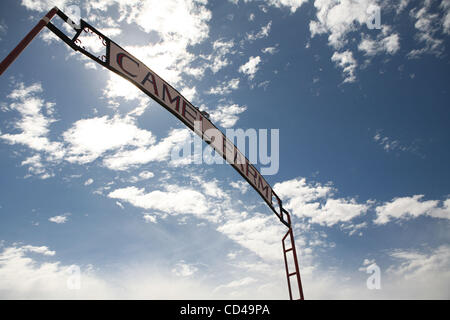 Settembre 17, 2008 - Alice Springs, Territorio del Nord, l'Australia - un cammello fattoria alla periferia di Alice Springs ospita quotidianamente le corse di cammelli. (Credito Immagine: © Marianna giorno Massey/ZUMA Press) Foto Stock