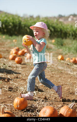 Ottobre 8th, 2008, Rancho Bernardo in California, Stati Uniti d'America. DANIELLA D'ACQUISTO (CQ), 3, di Westminster Presbiteriana in età prescolare Point Loma, corre con la sua zucca alla pineta Zucca Patch su Hidden Valley Road in Rancho Bernardo in California. Lei era a la patch per un tour con la sua età prescolare.  Mandato Foto Stock