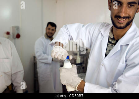 28 ott 2008 - Nassiriya, Iraq - bufali agricoltori lavorano con gli esperti di agricoltura dalla Texas A&M University a Camp Mittica. Il team del Texas è aiutare il sud dell'Iraq aprire la loro prima trasformazione dei prodotti lattiero-caseari facility. (Credito Immagine: © Jed Conklin/ZUMA Press) Foto Stock