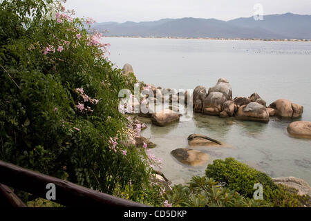 Apr 24, 2008 - Papagaio Island, Santa Catarina, Brasile - Ilha do Papagaio, "Parrot Island' Eco Resort in Santa Catarina, Brasile. (Credito Immagine: © Kayte Deioma/ZUMA Press) Foto Stock